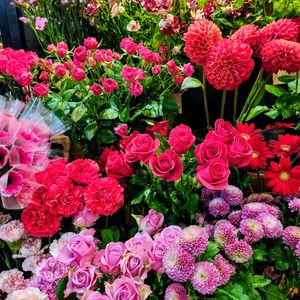 カーネーション,ダリア,トルコキキョウ,ニゲラ,日比谷花壇の画像