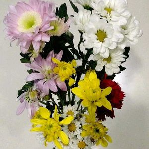 カーネーション,キク,菊,仏壇の供花の画像