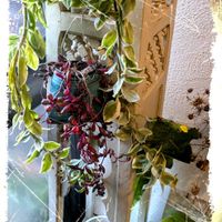 バラ,ルビーネックレス,ベビーサンローズ,ウンベラータ,エリンジウムの画像