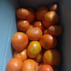 キッチンの画像