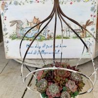 多肉寄せ植え,多肉のある暮らしの画像