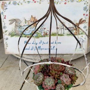 多肉寄せ植え,多肉のある暮らしの画像