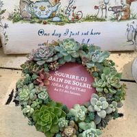 多肉寄せ植え,多肉のある暮らしの画像