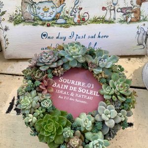 多肉寄せ植え,多肉のある暮らしの画像