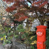 ナンテン,マンリョウ,モミジ,楽しみ〜,お出かけ先にての画像