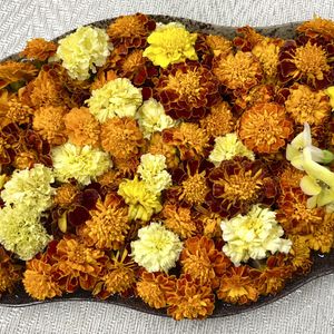 フラワーアレンジメント,リビング・ダイニングの画像