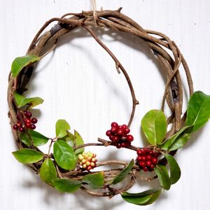 サネカズラ,リース,可愛い〜♡,赤い実,優しい色合い♡の画像