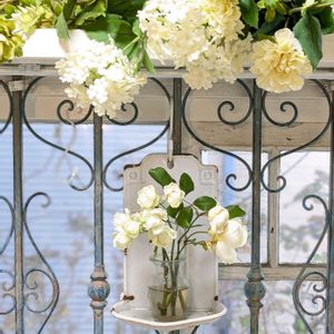 アリッサム,グリーンアイス,バラのある暮らし,薔薇愛同盟,バラと夢CLUBの画像