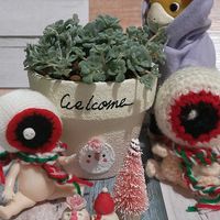 白雪ミセバヤ,ブースカ,繋がりに感謝✨,KOHさんのリメ鉢,鬼っち鉢の画像