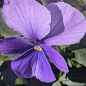 玄関アプローチの画像