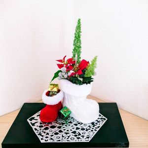 ヒイラギ,ポインセチア,シルバーブルニア,メリー,クリスマスの画像