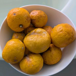 柚子,ユズ,収穫,シェア畑深大寺の画像