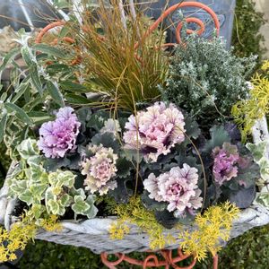 お花大好き♡,GSの皆さんに感謝❣️,お花のある暮らし✩︎⡱,花友さん♡ありがとう,いつも見て頂きありがとうございます♡の画像