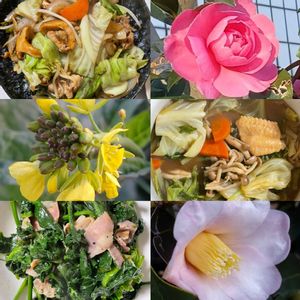 ひろしの四季彩々・・・！,ひろしの創作オリジナル料理,キッチンの画像