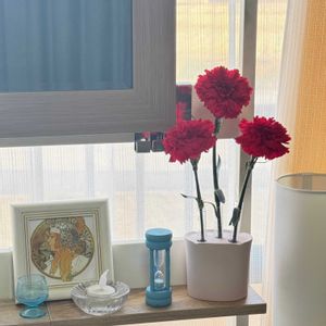 カーネーション（麝香撫子）,花言葉,花のある暮らし,誕生花,GS映えの画像