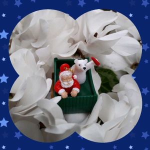 シクラメン,花言葉,クリスマス月間,しあわせ運べるように,いつも心に太陽をの画像