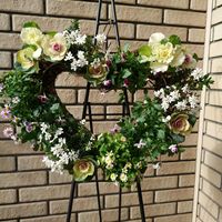 イベリス,ビオラ,姫小菊,八重咲きジュリアン,イベリスブライダルブーケの画像