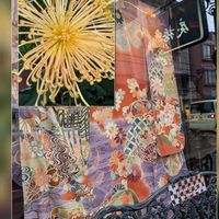 キク,サザンカ,サザンカ,セイヨウヒイラギ,アンテーク着物・雑貨屋さんの前で…の画像