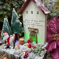 キク,サボテンの寄せ植え,キク科,いやされる,フリフリパンジーの画像