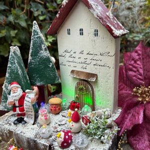 キク,サボテンの寄せ植え,キク科,いやされる,フリフリパンジーの画像