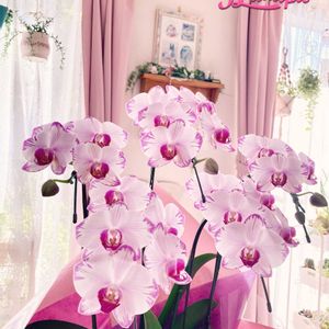 可愛い〜♡,季節の花,おきにいり,とってもキレイ♡,キュンキュン乙女倶楽部の画像