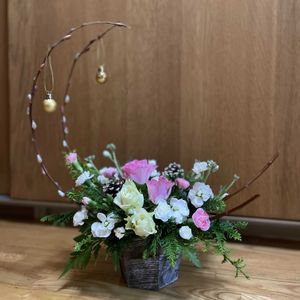 カーネーション,スギ,ストック,ネコヤナギ,バラの画像