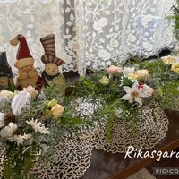 バラ,バラ,ローズマリー,ローズマリー,ローズマリーの画像