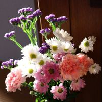 切り花,花のある暮らし,花が好き,お花は癒し,仏壇の花の画像