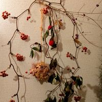 ムラサキシキブ,サンキライ,サネカズラ,今日のお花の画像