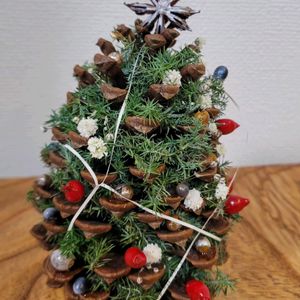 クリスマス,木の実,クリスマスツリーの画像