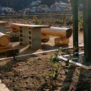 バラ,バラ,バラ,バラ,バラの画像