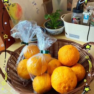 柚子,GSに感謝。,わんこと暮らす,初冬の頃,人に優しくの画像