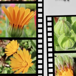 キッチン,その他エクステリアの画像