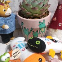 オーロラ,亀甲竜,セダムたち,アイスソウル。,ブースカの画像