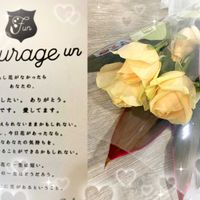 バラ（薔薇）,薔薇♪,花のある暮らし,わんこと暮らす,初冬の頃の画像