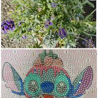 ラベンダー,復興祈願,世界平和,がんに負けるな！,チーム千葉✿︎の画像