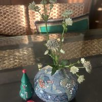 アストランティア,アストランティア,花のあるリビング♡,ダイソー雑貨,キッチンのお花の画像