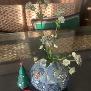 アストランティア,アストランティア,花のあるリビング♡,ダイソー雑貨,キッチンのお花の画像