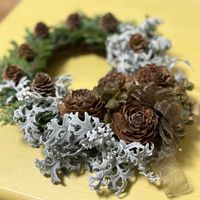 シロタエギク,シロタエギク,コニファー,カラマツの松ぼっくり,シダーローズの画像