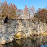 サザンカ,コナラ,癒される,花のある暮らし,大宮花の丘農林公苑の画像