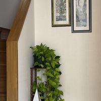 ポトス,小さな幸せ,優しい気持ち,穏やかな毎日の画像