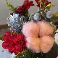 ワタ,木曜モフモフ,部屋の画像