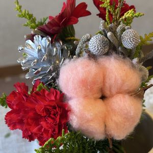 ワタ,木曜モフモフ,部屋の画像