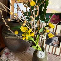 ロウバイ,リビングの画像