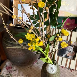 ロウバイ,リビングの画像