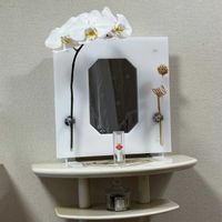 ファレノプシス（胡蝶蘭）,花言葉,花のある暮らし,誕生花,GS映えの画像