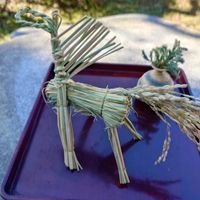 いね,コニファー ブルーバード,庭の画像