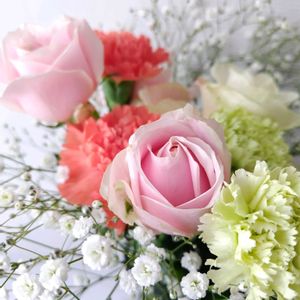 カーネーション,バラ,かすみ草,花のある暮らし,かわいい花の画像