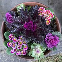 玄関アプローチの画像