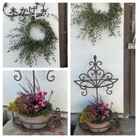 寄せ植え,リース,花のある暮らし,カフェ玄関,お出かけ先の画像